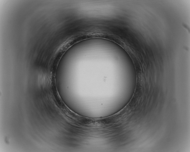 X0000096190735200801181008