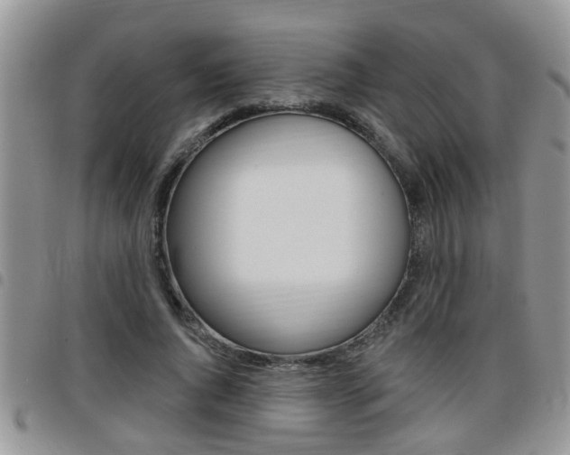 X0000096190736200801181008