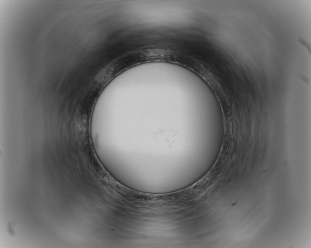 X0000096190737200801181008