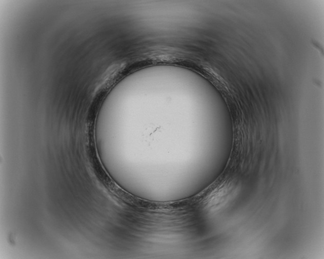 X0000096190738200801181008