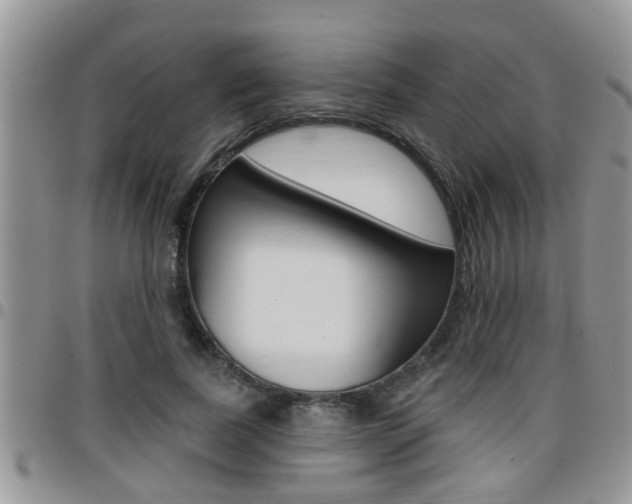 X0000096190739200801181008