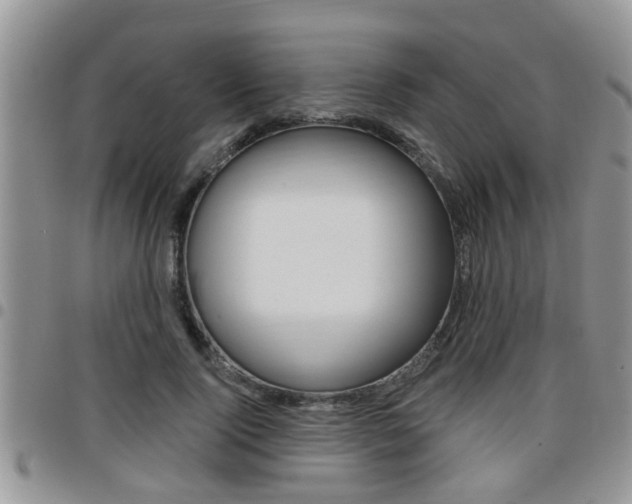X0000096190740200801181008