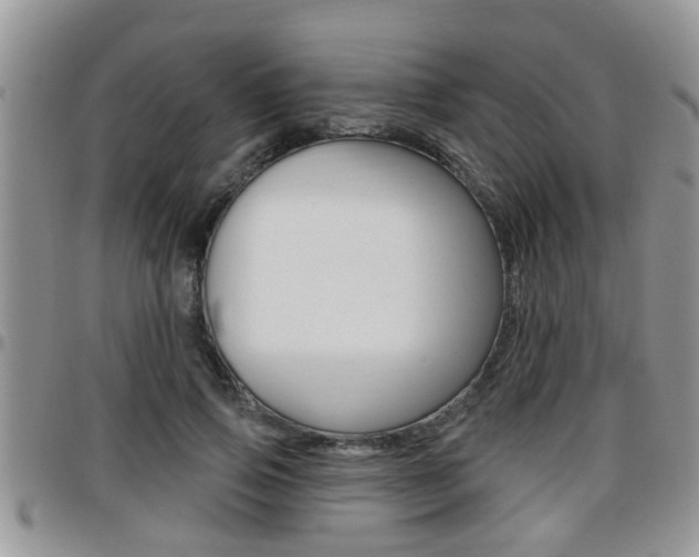 X0000096190741200801181008