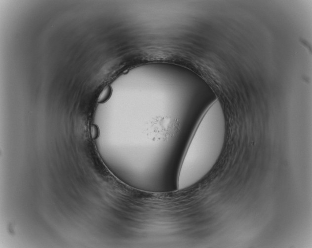X0000096190743200801181008