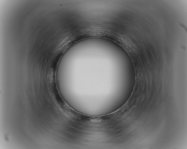 X0000096190744200801181008