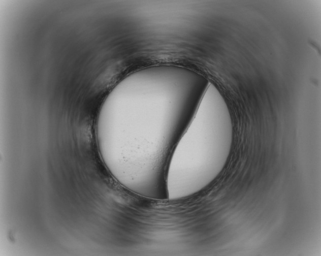 X0000096190746200801181008