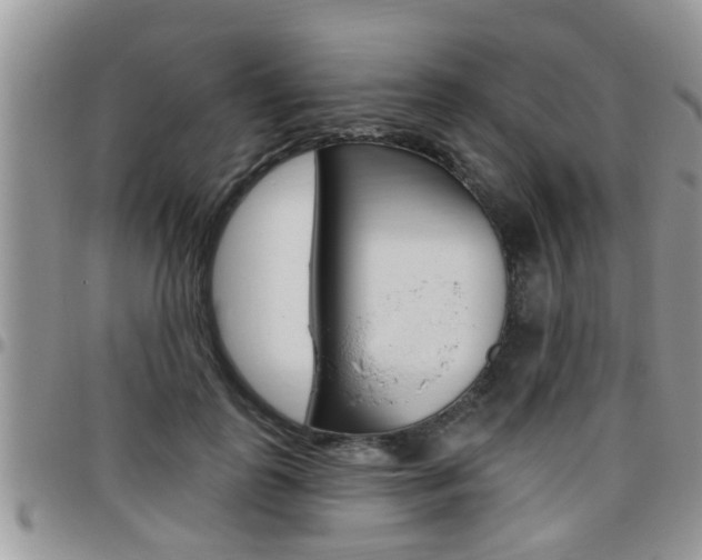 X0000096190747200801181008
