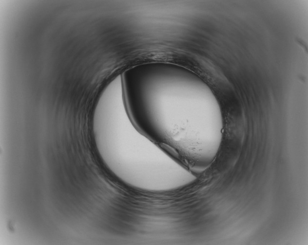 X0000096190748200801181008