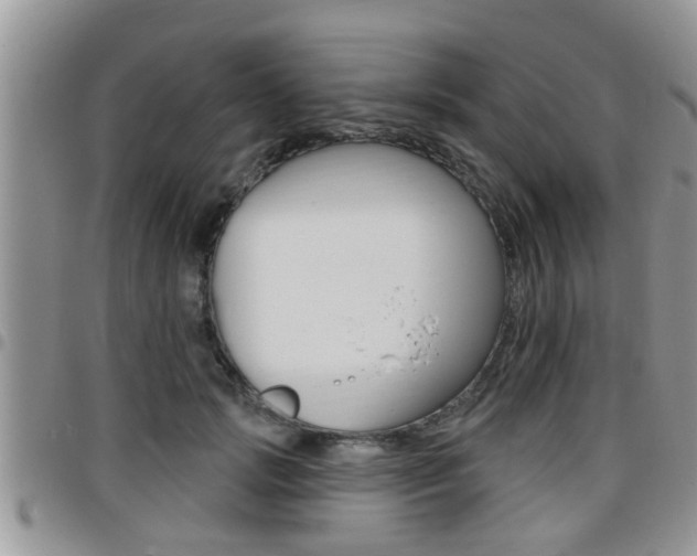 X0000096190749200801181008