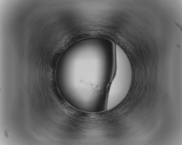 X0000096190750200801181008