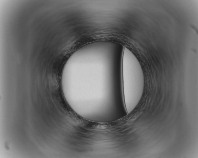X0000096190751200801181008
