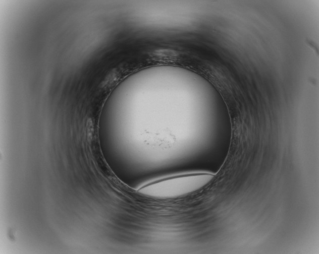 X0000096190752200801181008