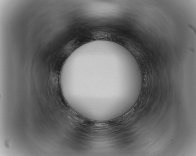 X0000096190753200801181008