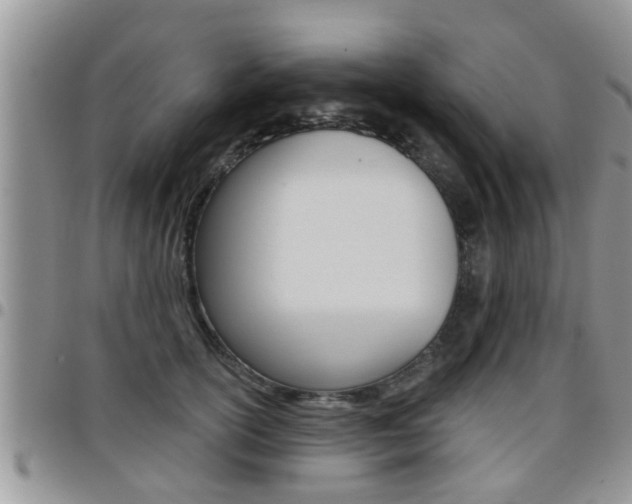 X0000096190754200801181008