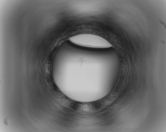 X0000096190755200801181008