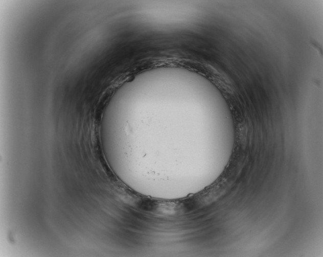 X0000096190757200801181008