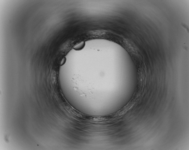 X0000096190758200801181008