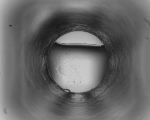 X0000096190759200801181008