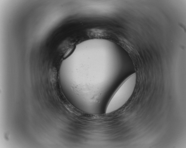 X0000096190760200801181008