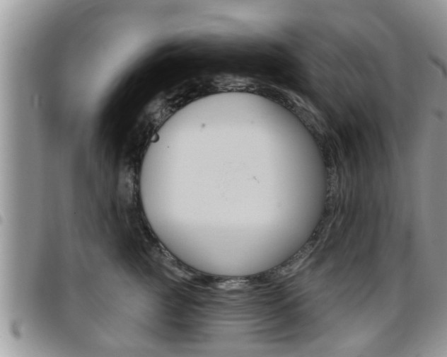 X0000096190761200801181008