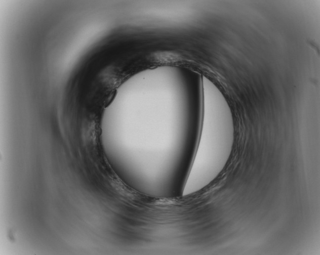 X0000096190762200801181008