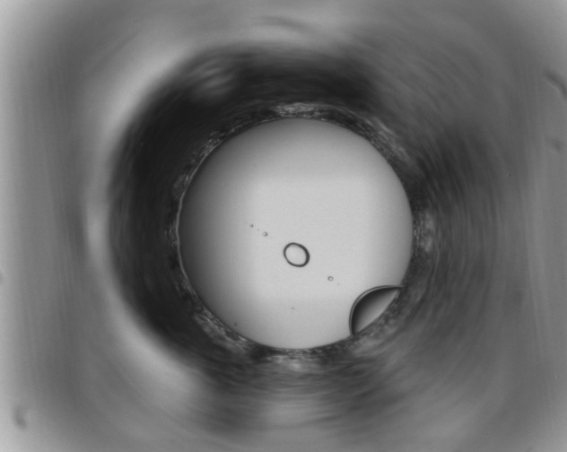 X0000096190763200801181008