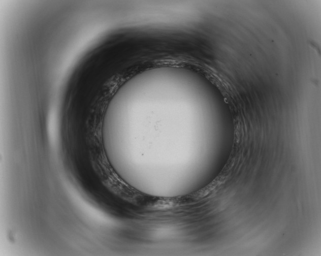X0000096190764200801181008