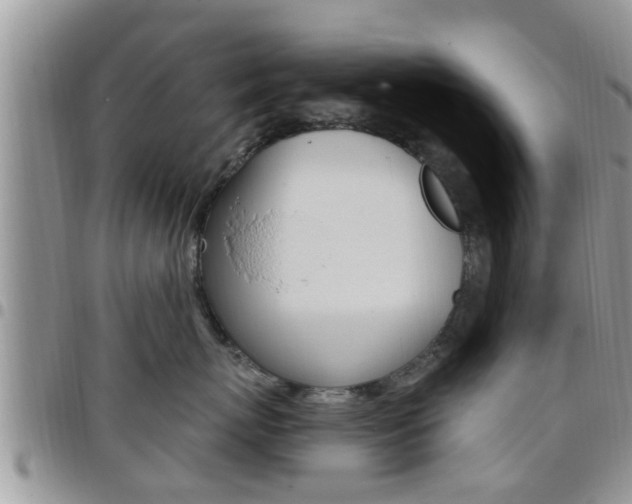 X0000096190767200801181008