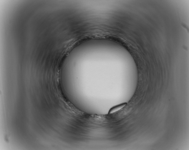 X0000096190768200801181008