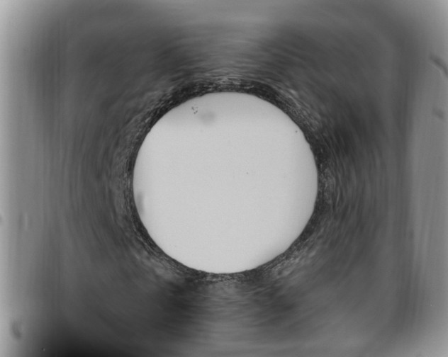 X0000096190769200801181007