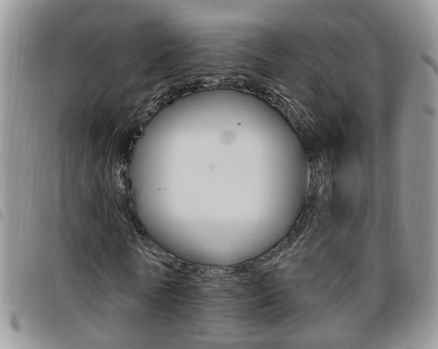 X0000096190770200801181007