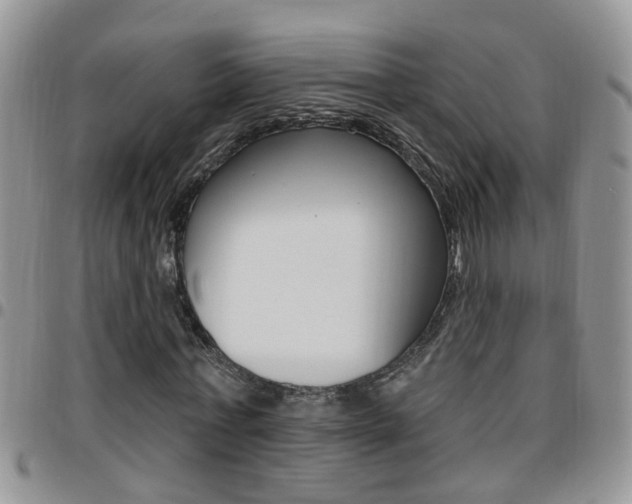 X0000096190771200801181007
