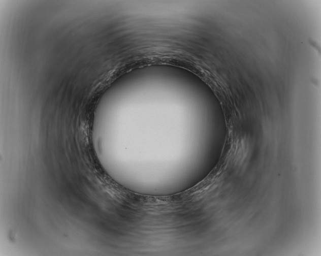 X0000096190772200801181007