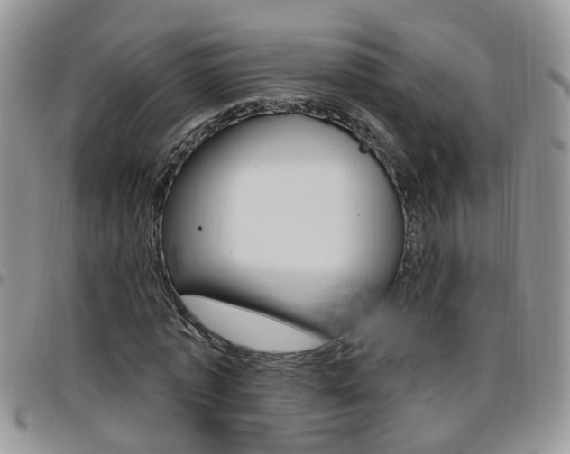 X0000096190773200801181007
