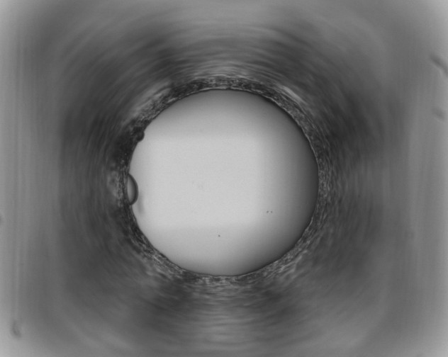 X0000096190774200801181007