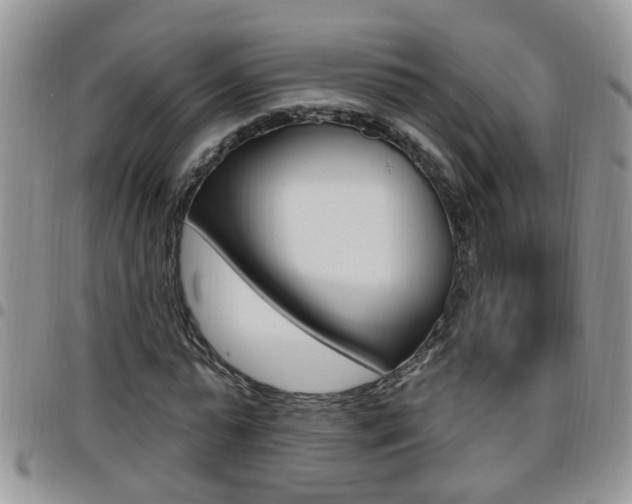 X0000096190775200801181007