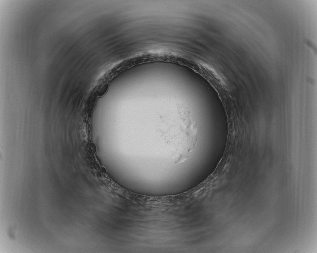 X0000096190776200801181007
