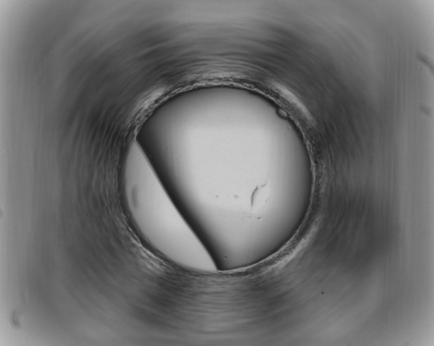 X0000096190777200801181007