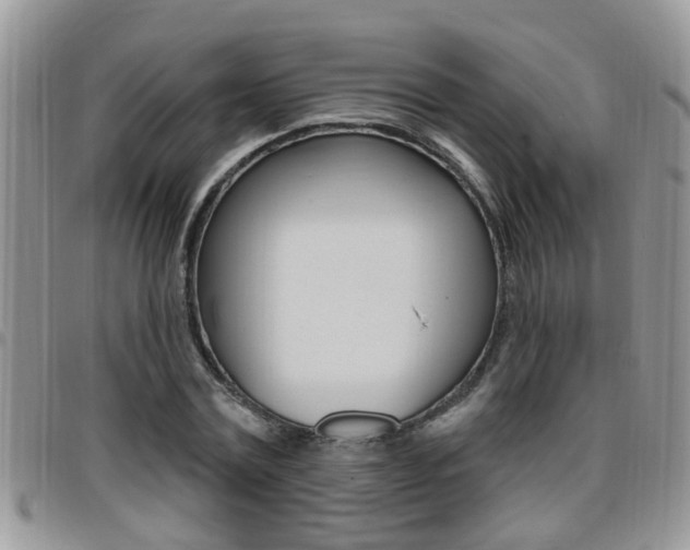 X0000096190779200801181007