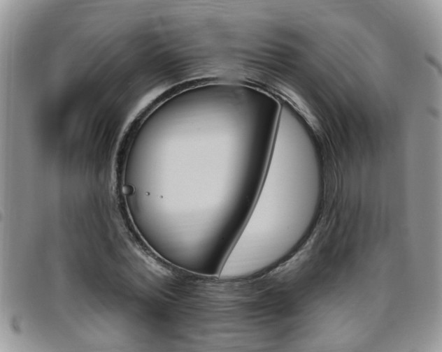 X0000096190780200801181007