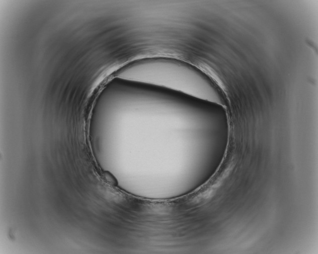 X0000096190781200801181007