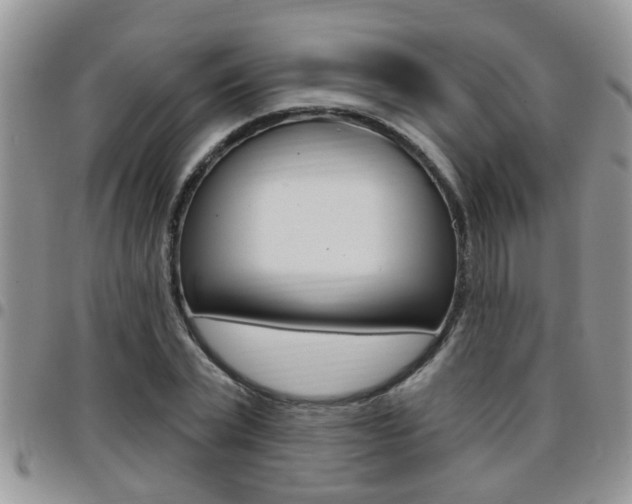 X0000096190783200801181007