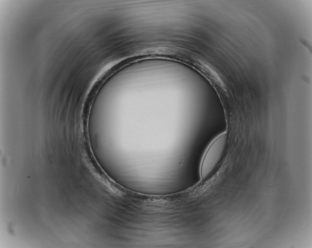 X0000096190784200801181007