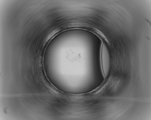 X0000096190786200801181007