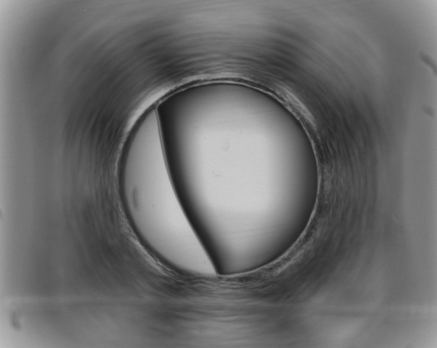 X0000096190789200801181007