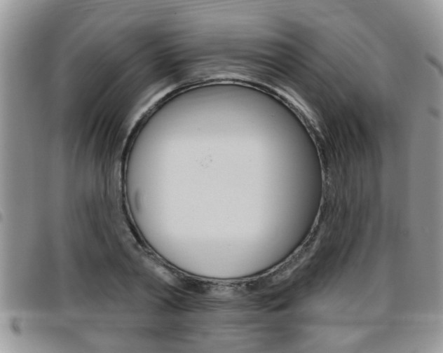 X0000096190790200801181007