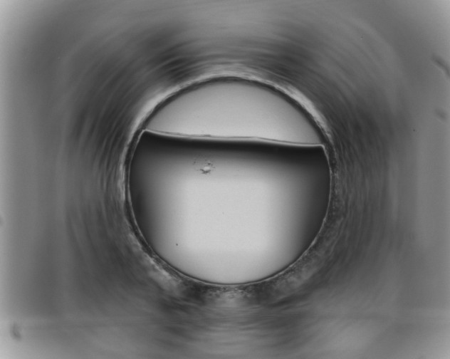X0000096190791200801181007