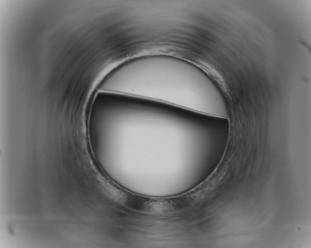 X0000096190792200801181007