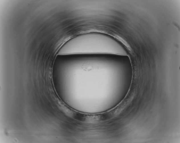 X0000096190793200801181007