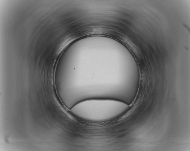 X0000096190794200801181007